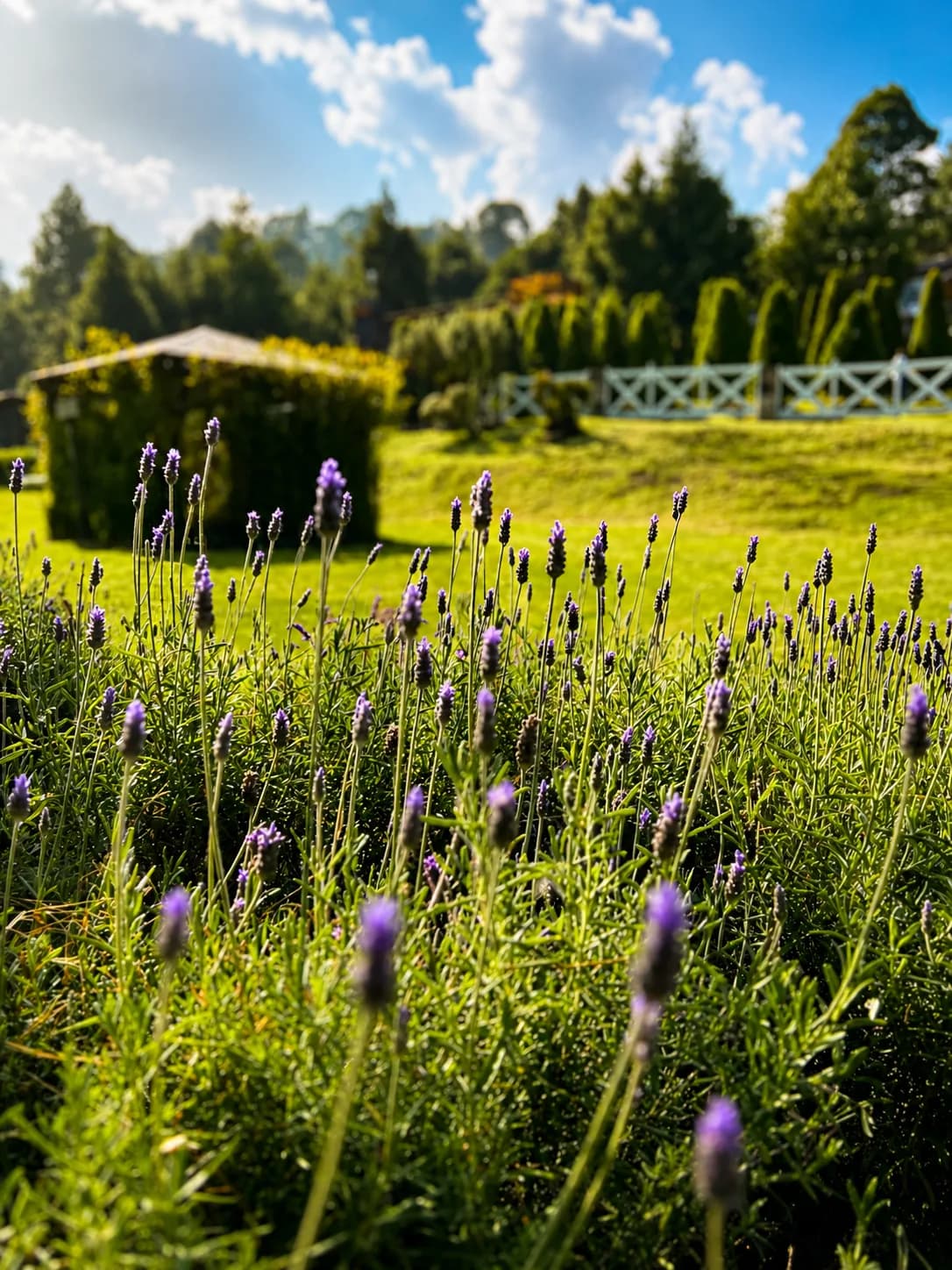 Jardín Linda Vista
