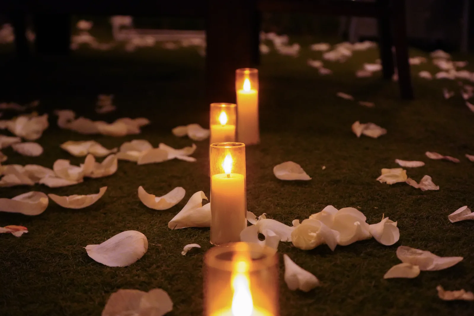 Cena con velas en claro de bosque