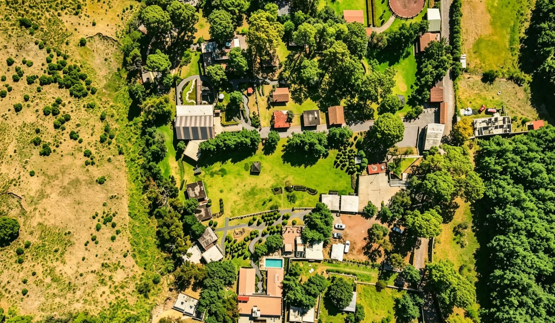 Vista aérea del bosque y suites