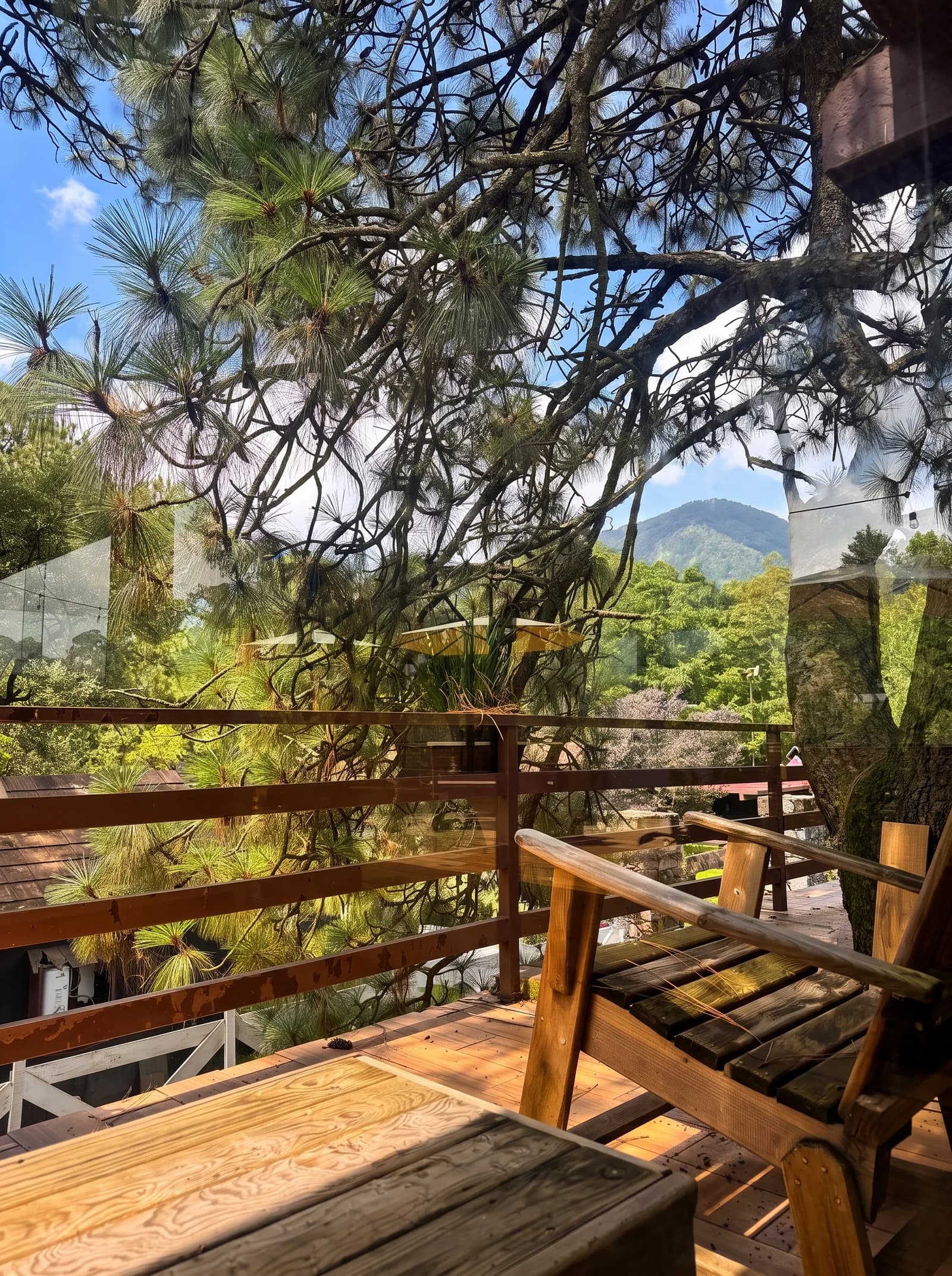 Terraza exterior de Fuego